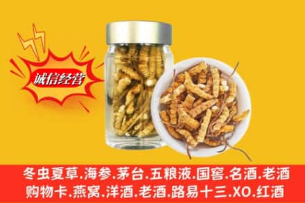 瑶海区回收散虫草